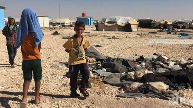 17 жени и деца са загинали при въздушна атака на международната коалиция над Ракка