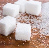  5 здравословни заместители на захарта