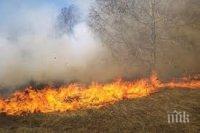 БЪРЗА НАМЕСА! Пожар унищожи декари сухи треви край Баня, овладян е