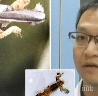 Лекари извадиха жив гущер от ухото на китаец