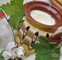 Вижте колко лесно се тества дали киселото мляко е менте