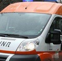 Кола се заби в дърво на пътя Мездра-Враца