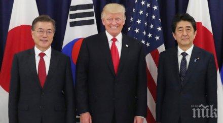 сащ твърдо застават япония оказват пълна подкрепа тема отбрана