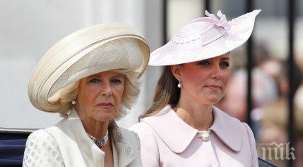 народен вот британците искат камила стане кралица