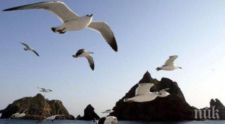 япония тестваха успешно електростанция получаваща енергия теченията океана