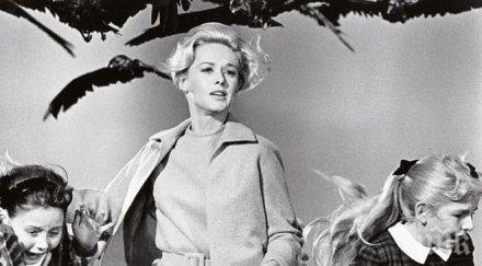 птиците завръщат малкия екран