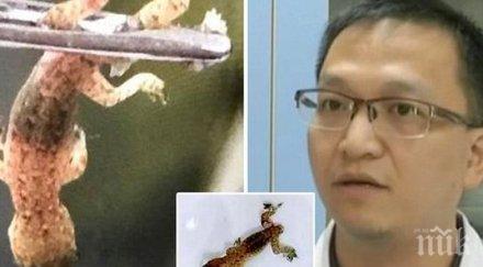 лекари извадиха жив гущер ухото китаец