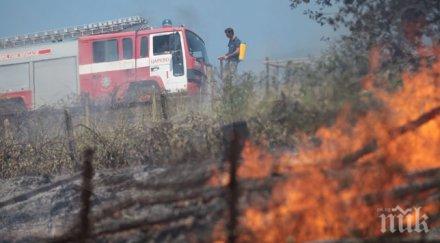 пожарите хасковско локализирани