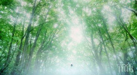 истинско чудо здравето направим лековита жива вода