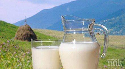 учени българия германия установиха млякото родопите пази рак