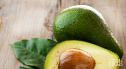 повярвате полезна люспата ядката авокадото