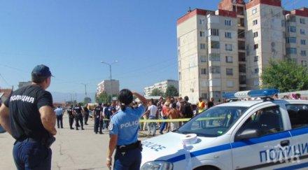 спипаха весел чай отрова против хлебарки