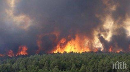 гърция спипаха подпалвача пожара корфу