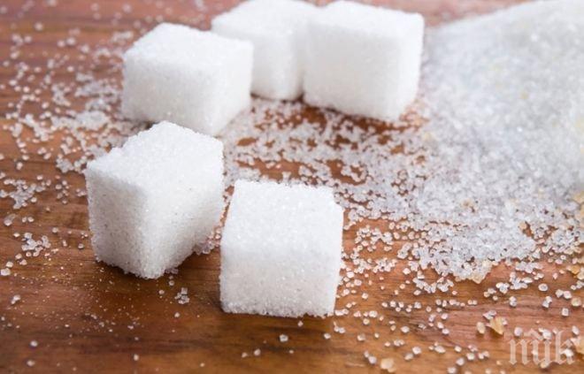  5 здравословни заместители на захарта