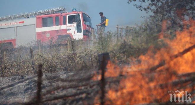 Пожарите в Хасковско са локализирани