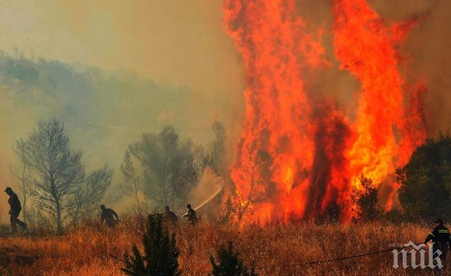 Евакуация в Гърция! Огромен пожар вилнее на Пелопонес