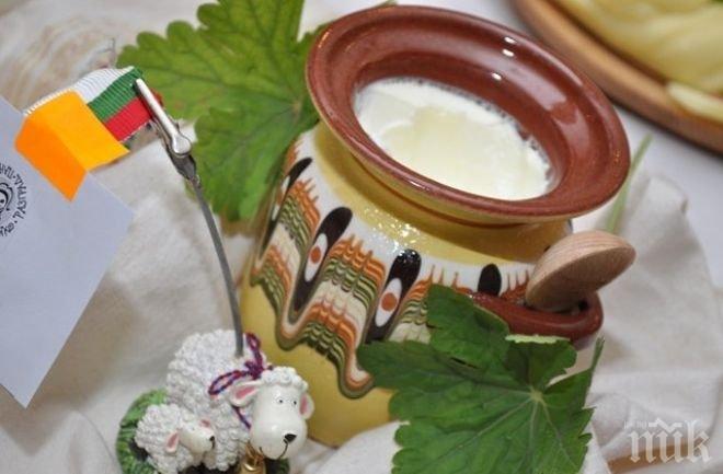 Вижте колко лесно се тества дали киселото мляко е менте