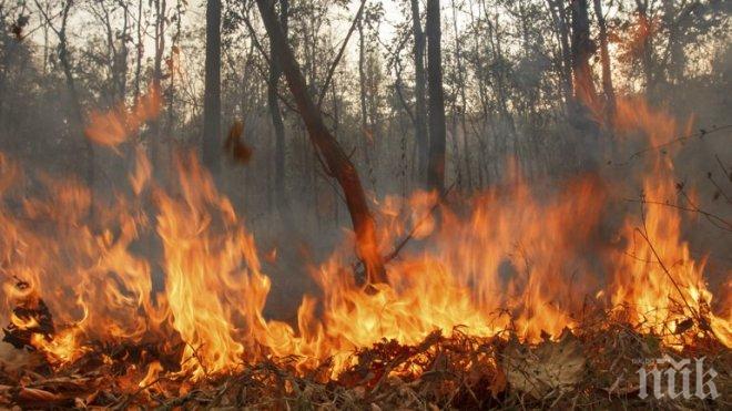 По адриатическото крайбрежие на Хърватия бушуват пожари