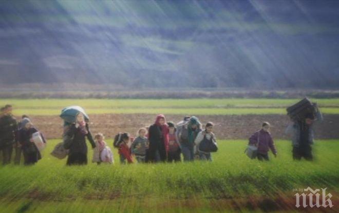 Румъния приема 1942 бежанци от Близкия изток