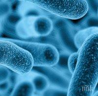 Революционно откритие! Бъдещето на горивата се крие в... бактерии