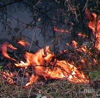 Втори ден борба със стихията над Кресненското дефиле! Огънят облиза къщи, пожарни пазят да не пламне цяло село