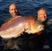 Гръцки рибар хвана най-голямата ципура в света