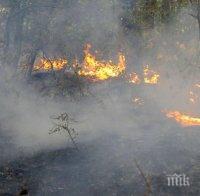 Три села са евакуирани заради пожара в Кресненското дефиле