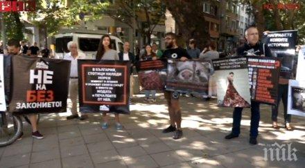 извънредно пик екшън министерство земеделието протестират ферми кожи