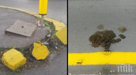 тотален хит логото софия такава столица