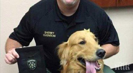 неочаквана находка куче изрови хероин хил долара двора стопаните