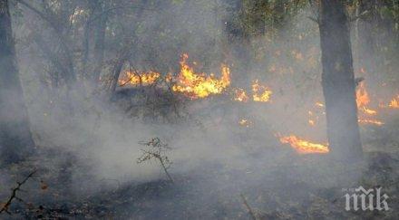 пожарът кресненското дефиле разраснал около 400 декара изминалата нощ