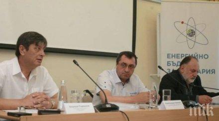 експерти искат аец белене изцяло държавна собственост