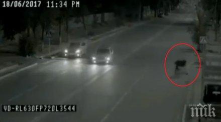 видео спре дъха призракът починал баща спаси дъщеря миг сгази кола