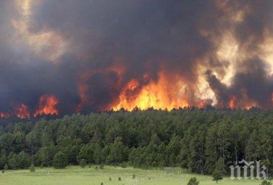 Огромен пожар гори над Кресненското дефиле