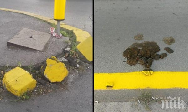 ТОТАЛЕН ХИТ! Това е логото на София! Няма такава столица