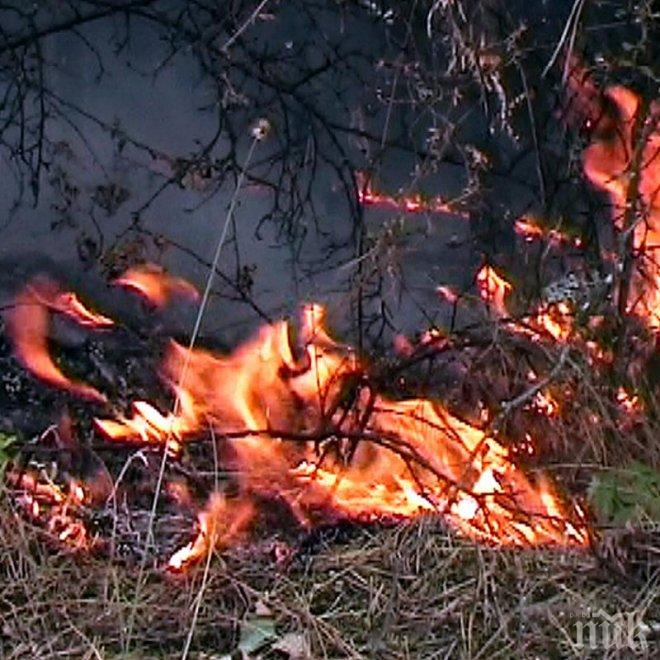 Втори ден борба със стихията над Кресненското дефиле! Огънят облиза къщи, пожарни пазят да не пламне цяло село