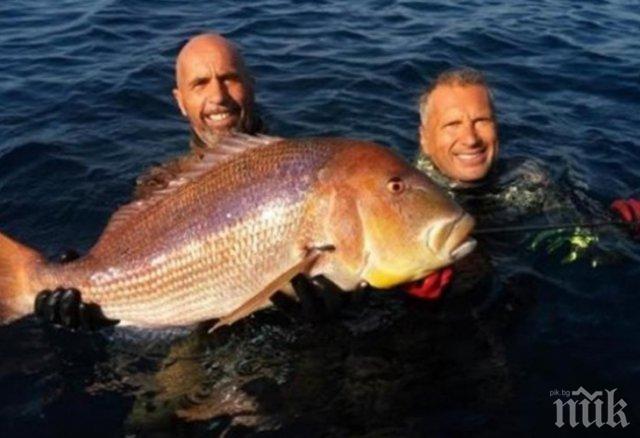 Гръцки рибар хвана най-голямата ципура в света