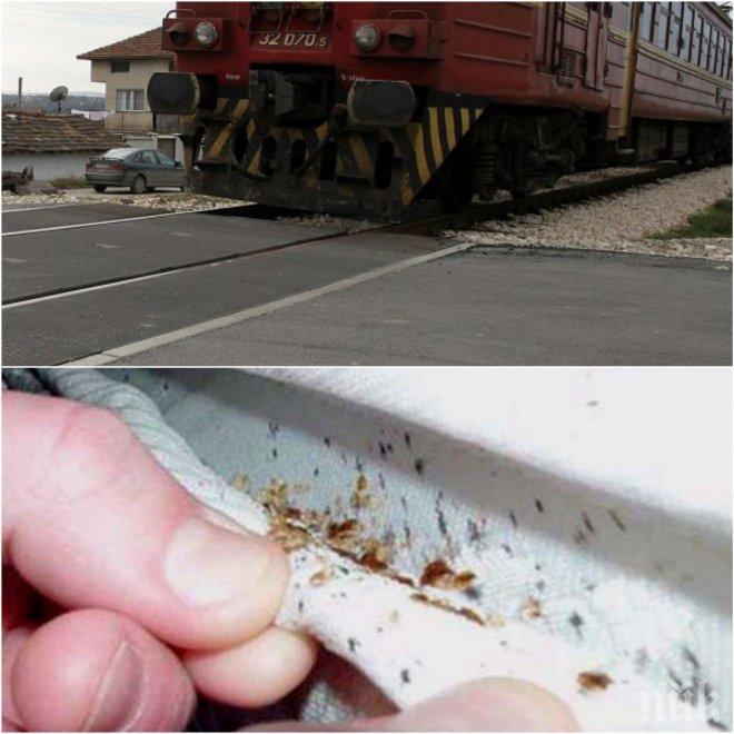 Ужас! Дървеници нахапаха зверски бургаско семейство във вагон на БДЖ