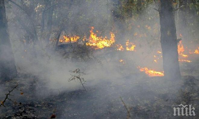 Три села са евакуирани заради пожара в Кресненското дефиле
