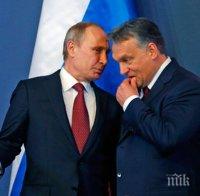 Владимир Путин ще се срещне с Виктор Орбан и ще посети откриването на Световното първенство по джудо в Будапеща