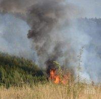 ОГЪН! Огромен пожар пламна край Анево! Затвориха пътя София-Бургас