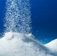 Учени обявиха: Захарта е наркотик