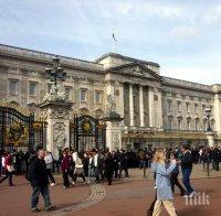 Освободиха един от задържаните за нападението пред Бъкингамския дворец