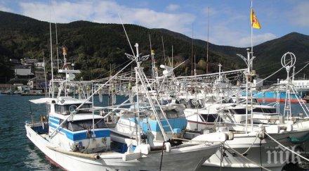 инцидент двама загинали един изчезнал безследно сблъсък два морси съда южна корея