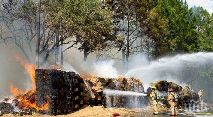 инцидент две коли 600 бали слама изгорели кърджали