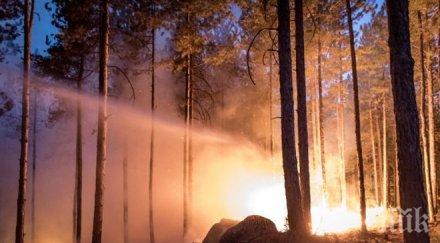 потушиха пожара вмз сопот