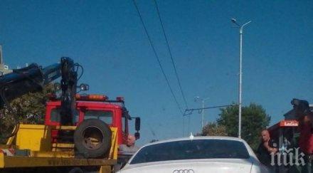 паяците пловдив спят неделя вдигнаха лъскаво ауди спирка