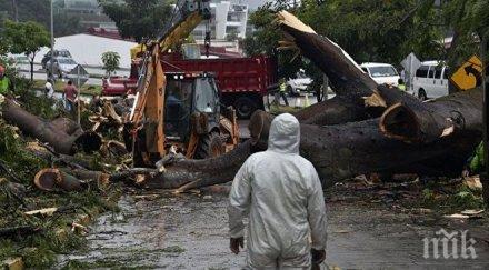 ново бедствие тихия океан образувал циклона лидия