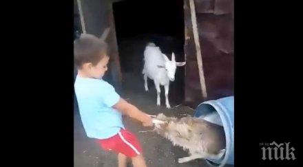 докога фейсбук изригна ново невиждано зверство майка насърчава детето малтретира животни видео