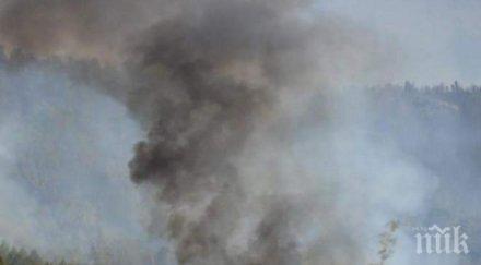огън огромен пожар пламна анево затвориха пътя софия бургас